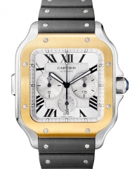 CARTIER W2SA0008