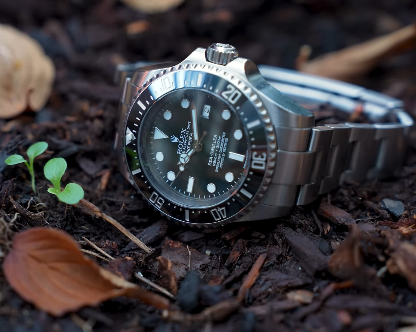 ROLEX - SEA-DWELLER - 126660-0001 - 勞迷必看：一只Deepsea從野火殘骸到完整修復的真實紀錄