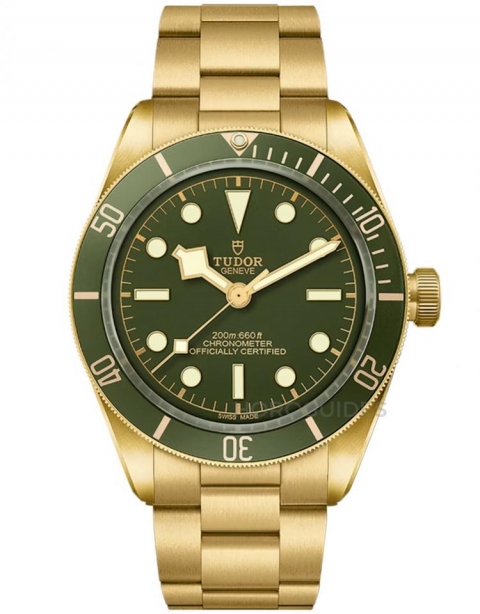 TUDOR - BLACK BAY - M79363N-0001 - 帝舵表 2026 年也見漲價,熱門Black Bay、Pelagos 價格變化一次看