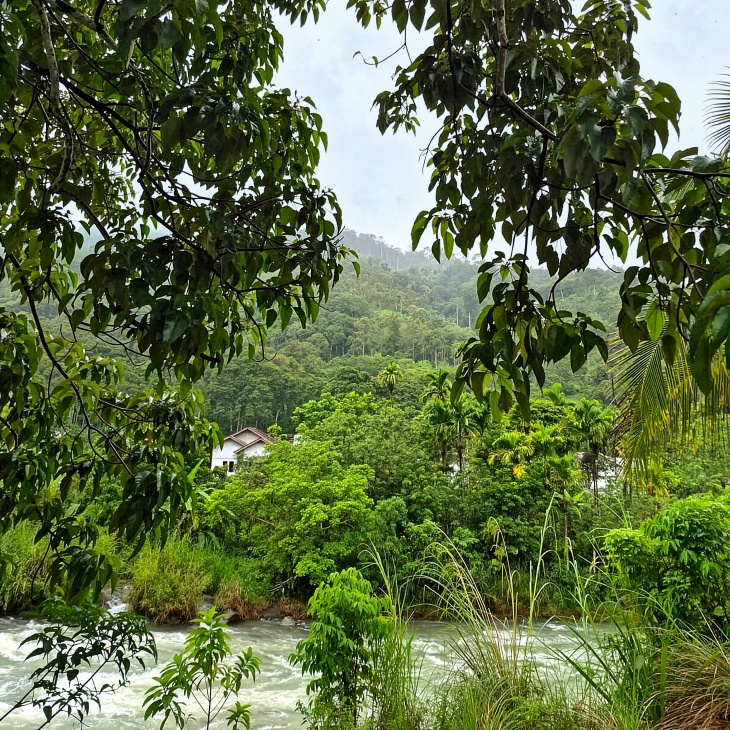 ROLEX - ROLEX勞力士2026年大獎揭曉！五位女性得主，以行動改寫全球保育與創新篇章