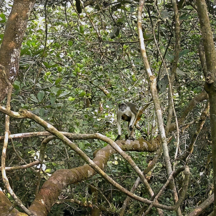 ROLEX - ROLEX勞力士2026年大獎揭曉！五位女性得主，以行動改寫全球保育與創新篇章